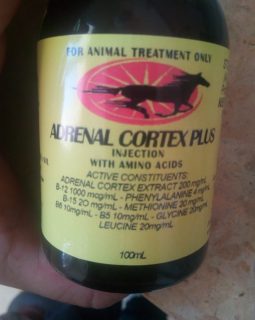 Adrenal Cortex Plus