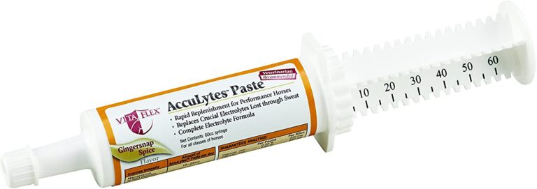 electrolyte paste for horses electrolyte paste for horses