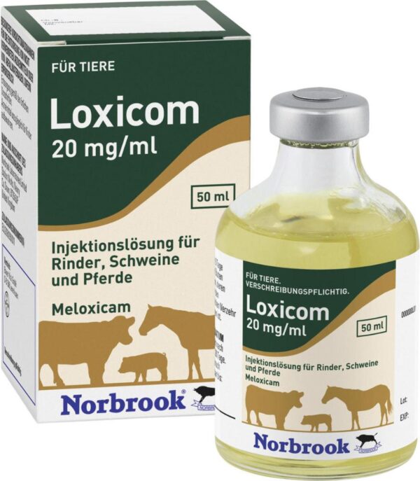 LOXICOM 20MG/ML