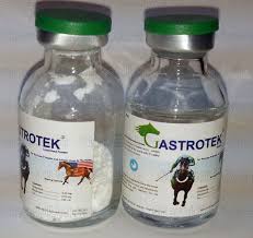 Gastrotek