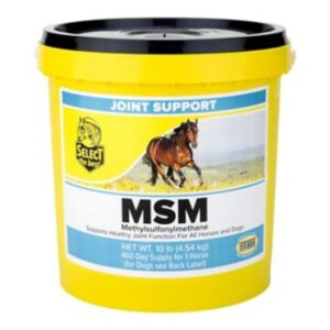 MSM Joint Support for Horses