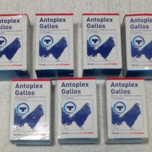 Antoplex Gallos