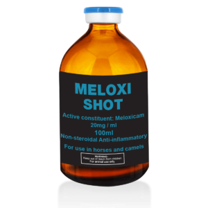 Meloxi Shot