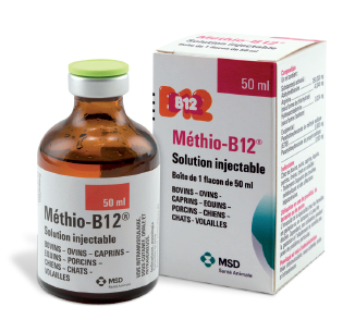 Methio-B12