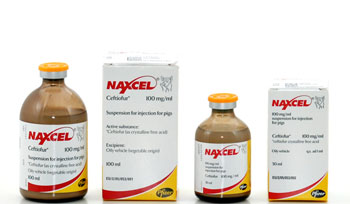 Naxcel 100 mg/ml Suspension for Injection
