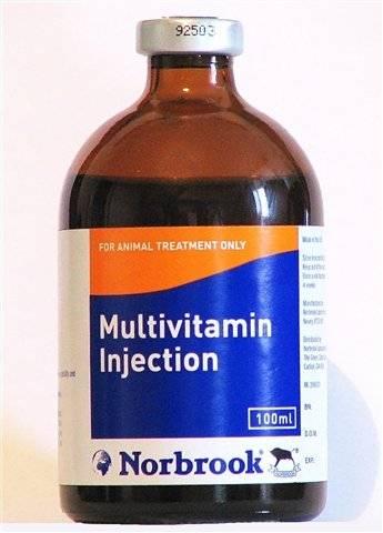 Multivitamin Injection | Buy Multivitamin Injection Online - Kihorse