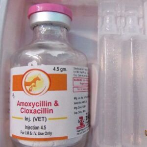 Amoxicillin Injection