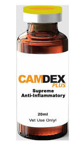 Camdex Plus