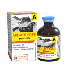 ACE ATP RACE